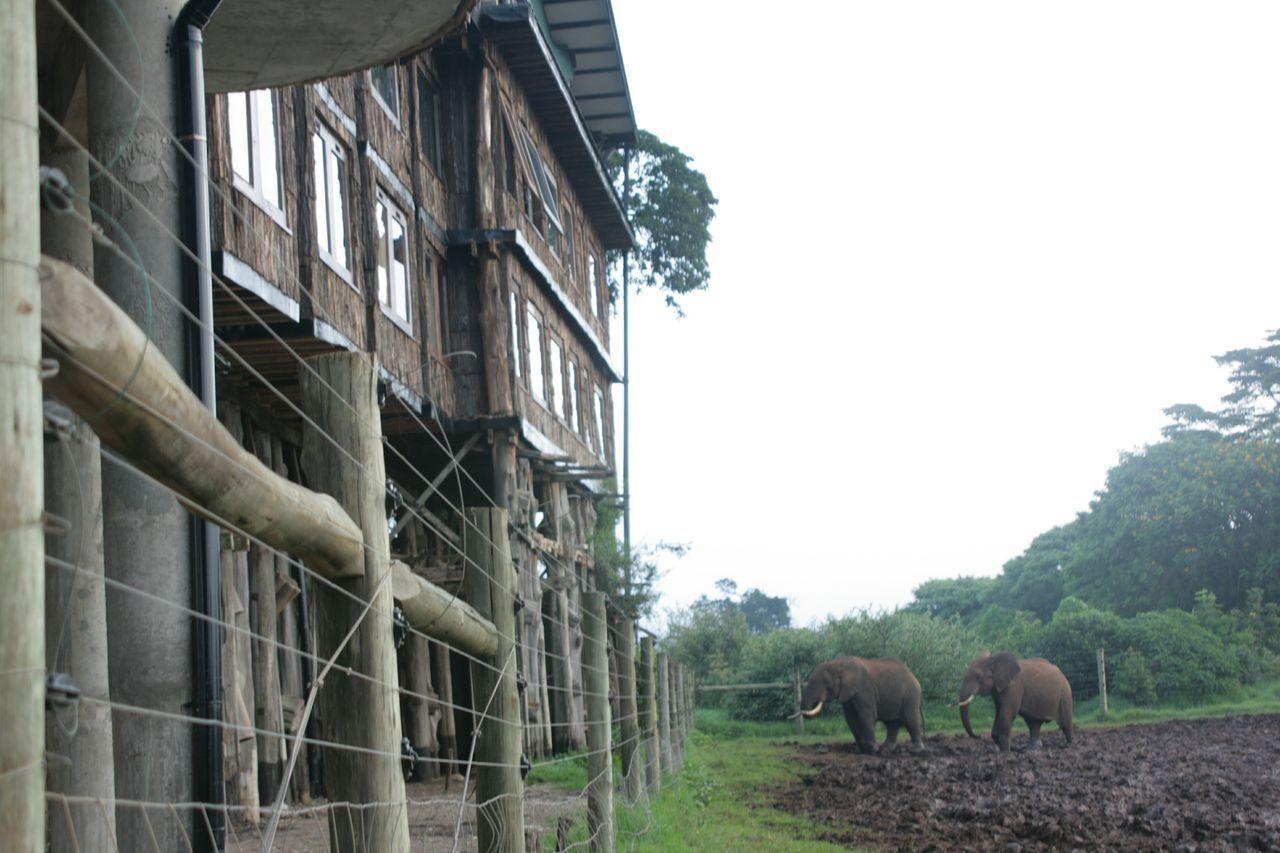 Treetops Mweiga Екстериор снимка