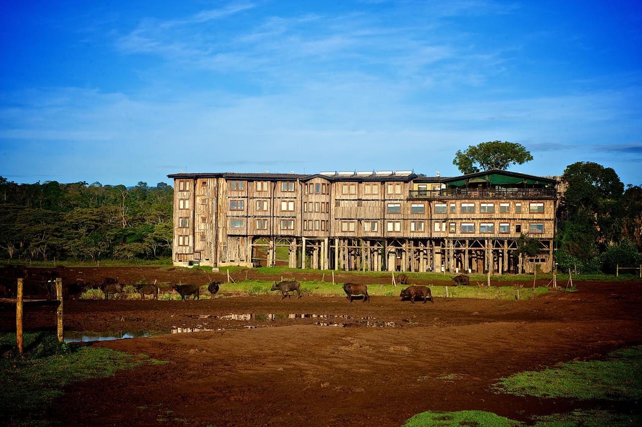 Treetops Mweiga Екстериор снимка