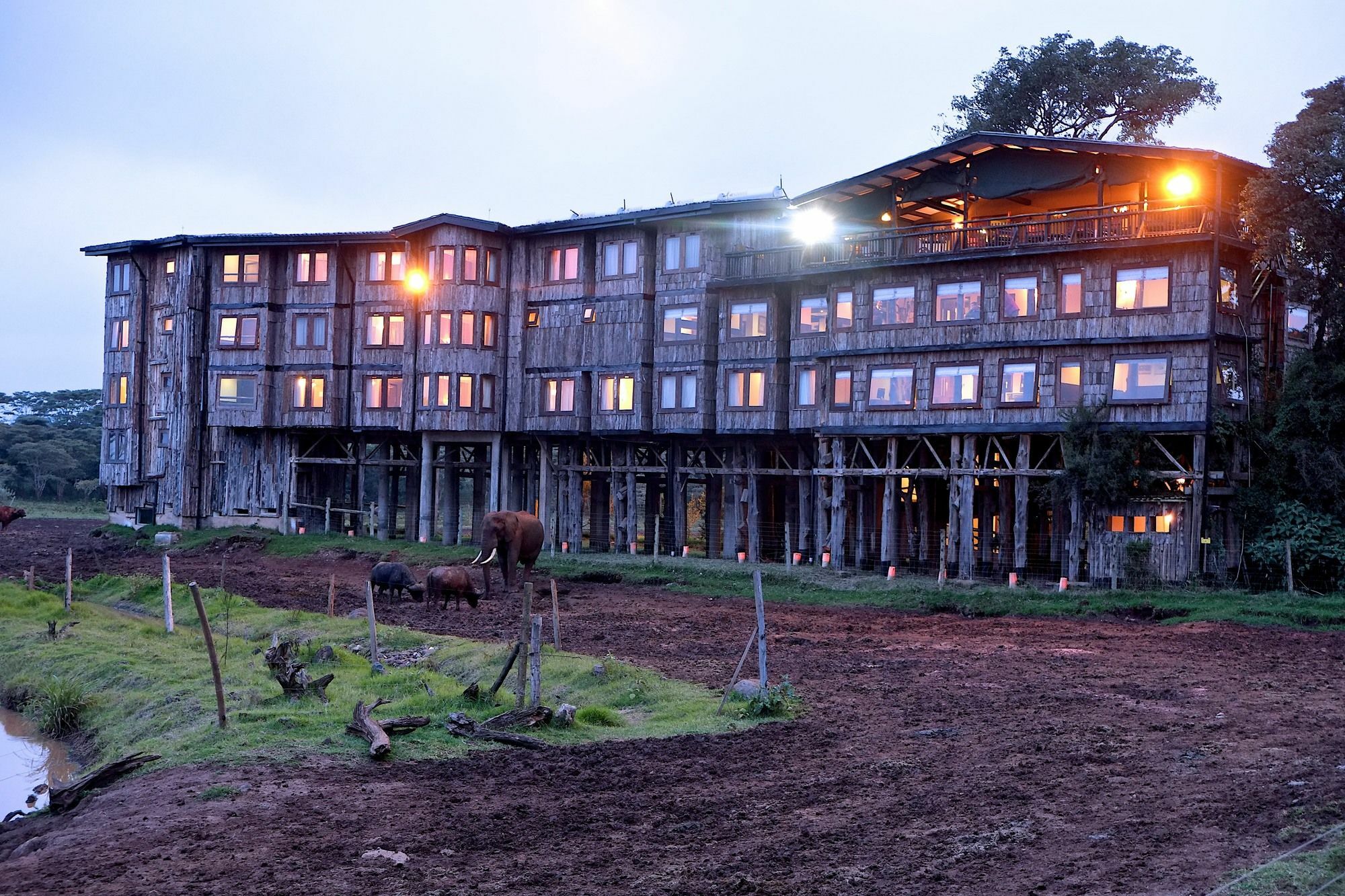 Treetops Mweiga Екстериор снимка